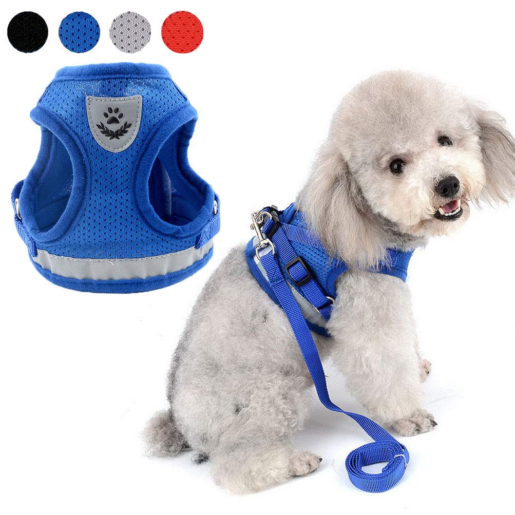 **Zunea No-Pull Reflective Adjustable Dog Harness & Leash Set - Soft Mesh Padded Step-in Vest for Small Dogs & Puppies - Escape-Proof Cat Harness for Walking - Blue (Ideal for Outdoor Adventures, Daily Walks & Pet Training)**