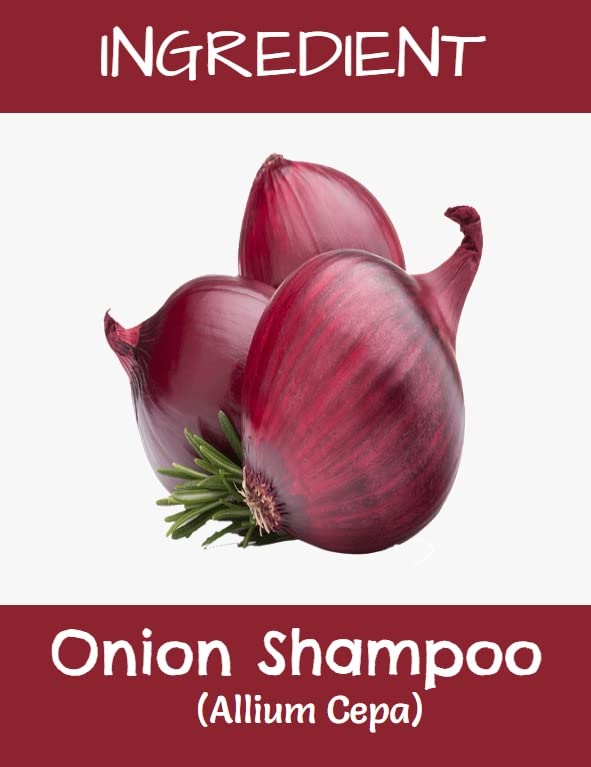MR Ayurveda Onion Hair Shampoo with Black Seed Oil - 120ml | Natural Hair Growth & Scalp Care for Thicker, Healthier Hair | Perfect for Daily Use & Hair Loss Prevention