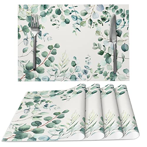 Eucalyptus Leaves