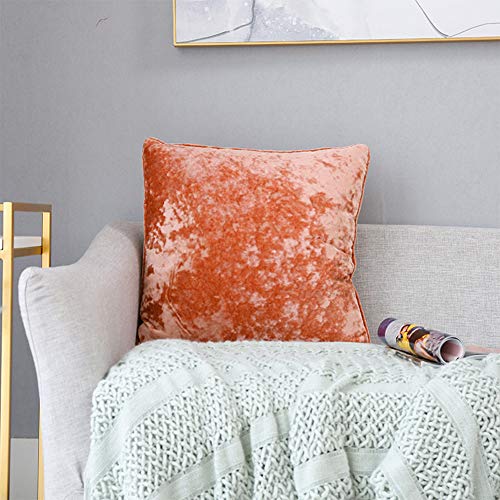 Orange 02
