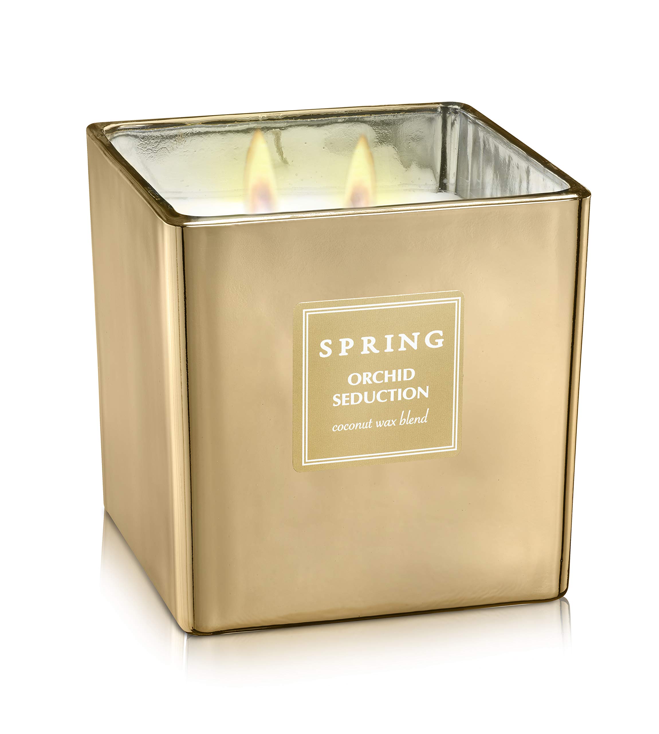 SPRING Orchid Seduction Scented Candle with Natural Coconut Wax | French Fragrance | Spa & Aromatic Candle | Luxury Home Decor | Hand-Poured Golden Jar (14.10 oz) for Romantic Evenings, Relaxation & Gift Giving