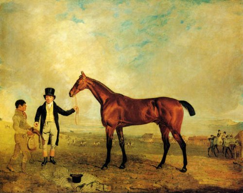 Authentic Ben Marshall Anti-Gallican Horse Painting Canvas Reproduction - Equestrian Art for Home & Office Decor | Perfect Gift for Horse Lovers & Art Collectors