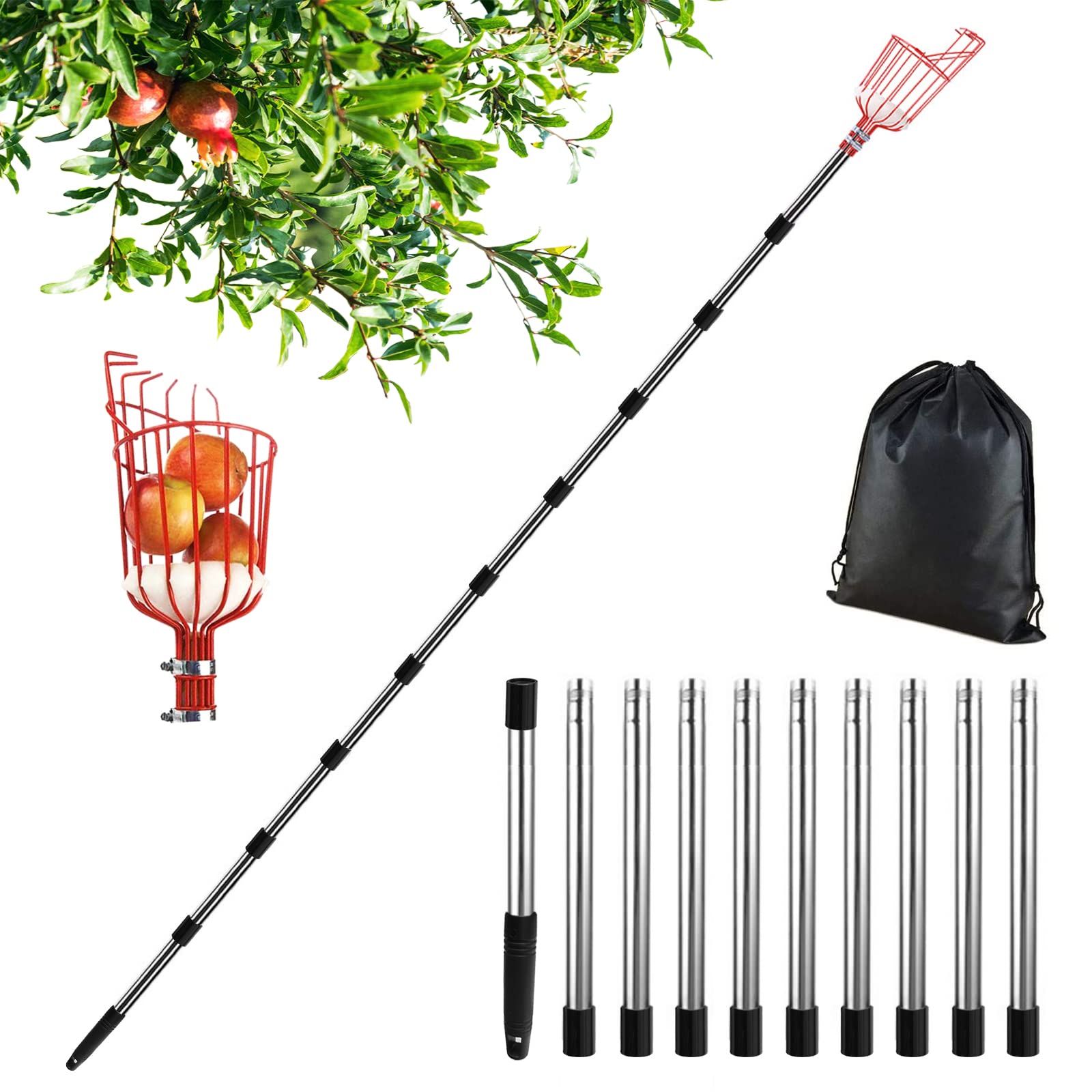 Stainless Steel Telescopic Fruit Picker with 4.3m Handle - Apple Picker, Cherry Harvester for Garden, Orchard & Outdoor Use - Perfect for Harvesting Pears, Apples & Hard-to-Reach Fruits