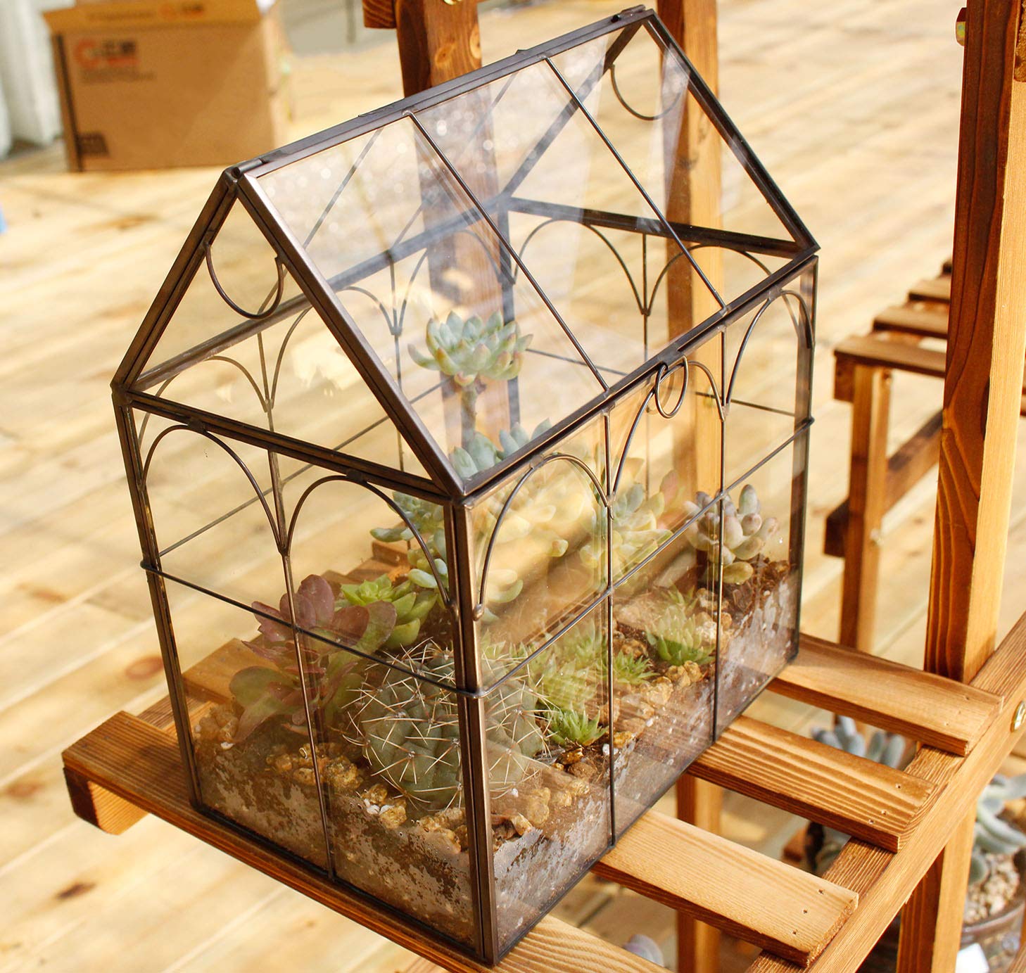 Glass Geometric Plant Terrarium for Succulents & Air Plants - Modern Home, Office & Garden Decor (Black) | Perfect for Indoor Plant Display, Wedding Centerpieces & Gift Ideas