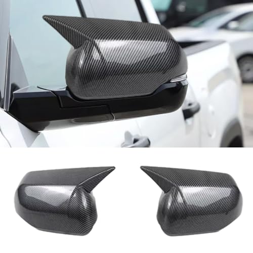 Carbon Fiber