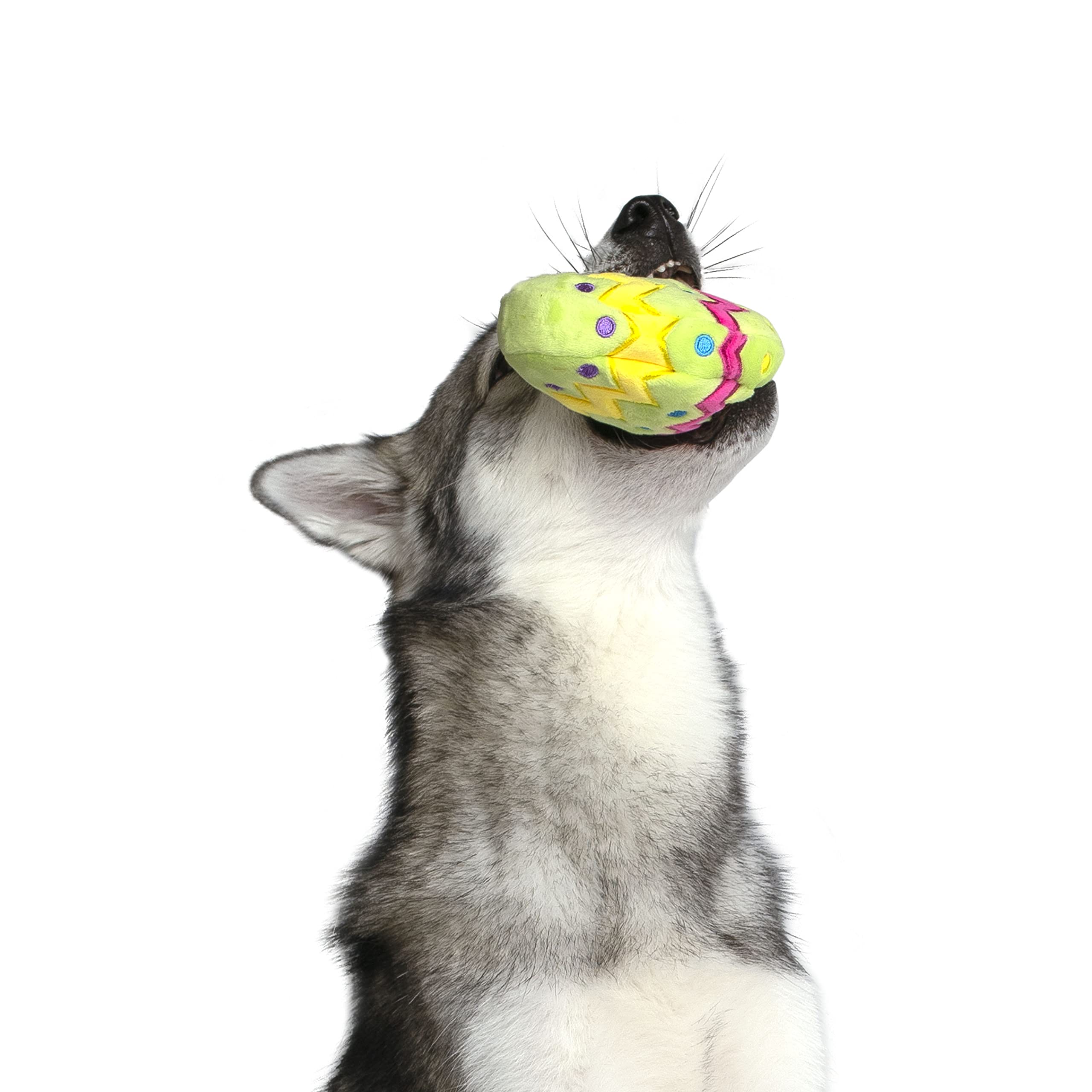 Midlee Easter Egg Dog Toy - Small Green Chew Toy for Puppies & Small Dogs - Durable & Safe for Indoor & Outdoor Playtime