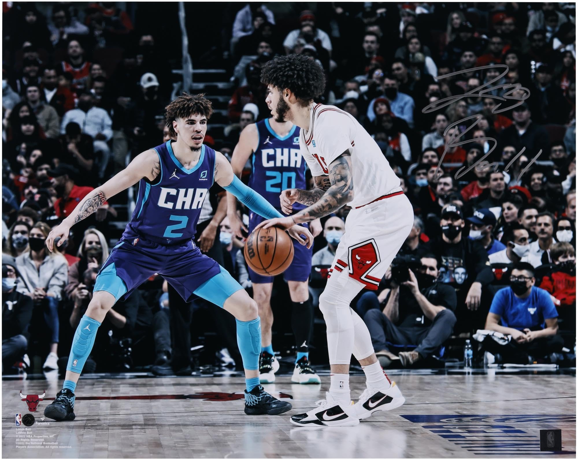 Lonzo Ball Chicago Bulls Autographed 16x20 Photo vs LaMelo Ball - Signed NBA Basketball Memorabilia - Perfect for Sports Fans, Man Cave Decor & Gift for Basketball Collectors
