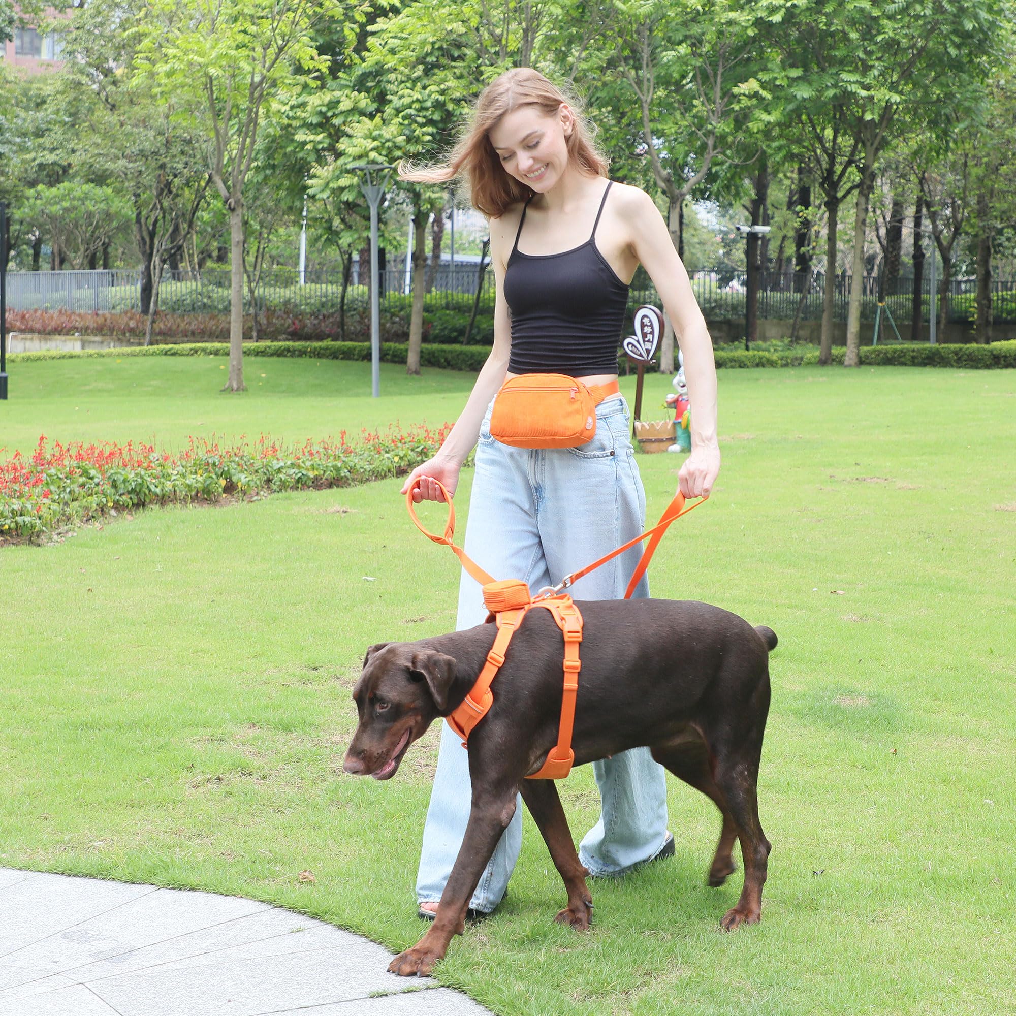 Custom Personalized Dog Harness & Leash Set with Name - Reflective No-Pull Pet Harness with Poop Bag Holder - Beige Gray Small Orange for Walking, Training & Outdoor Adventures