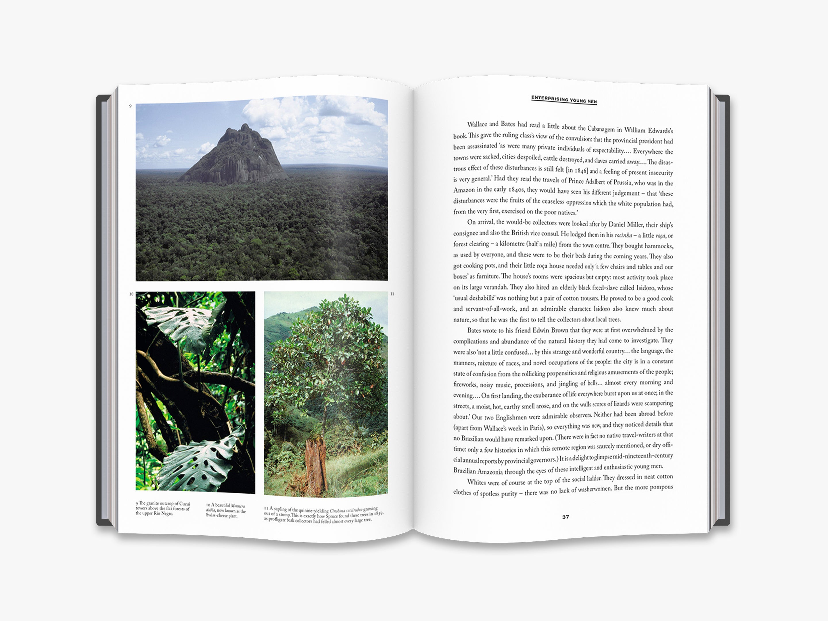 Naturalists in Paradise - Premium Outdoor & Nature Exploration Gear for Hiking, Camping & Adventure Travel
