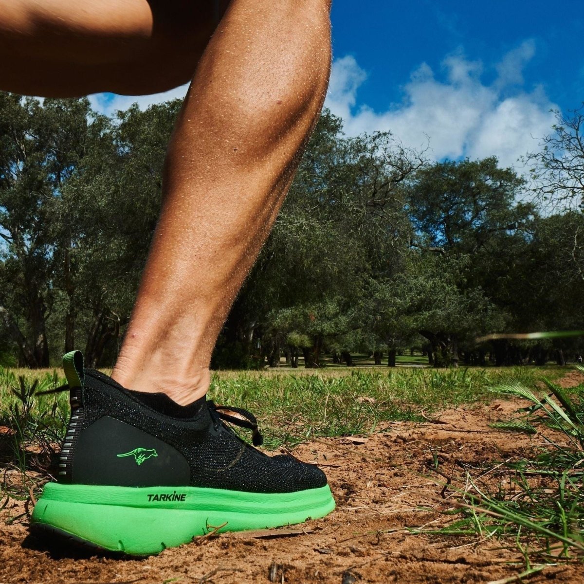 Men's Tarkine Goshawk V2 Running Shoes - High Mileage Trainer with Future Foam V2 Technology for Long Distance & Marathon Training
