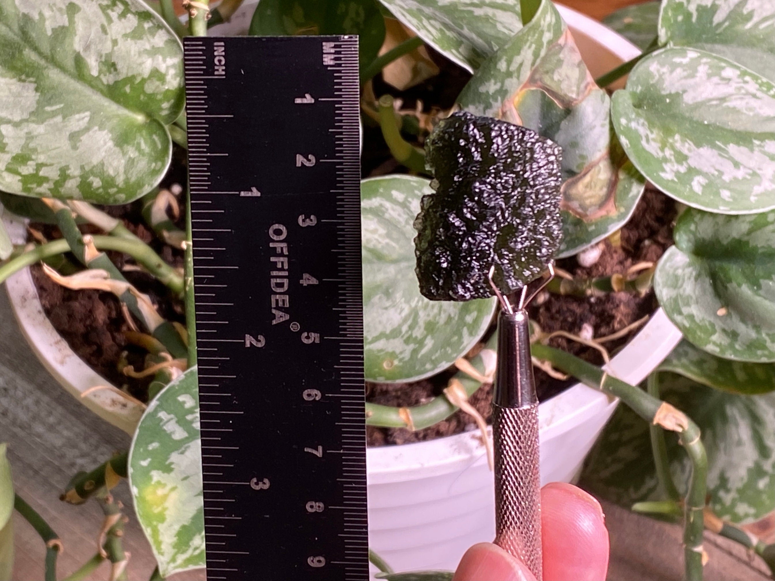 Natural Moldavite Raw Crystal 10.3g - Green Tektite Stone for Metaphysical Healing, Spiritual Growth & Energy Work - Perfect for Meditation, Chakra Balancing & Crystal Collection (44237)