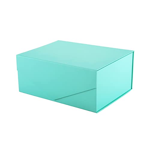 Turquoise-Pack of 1