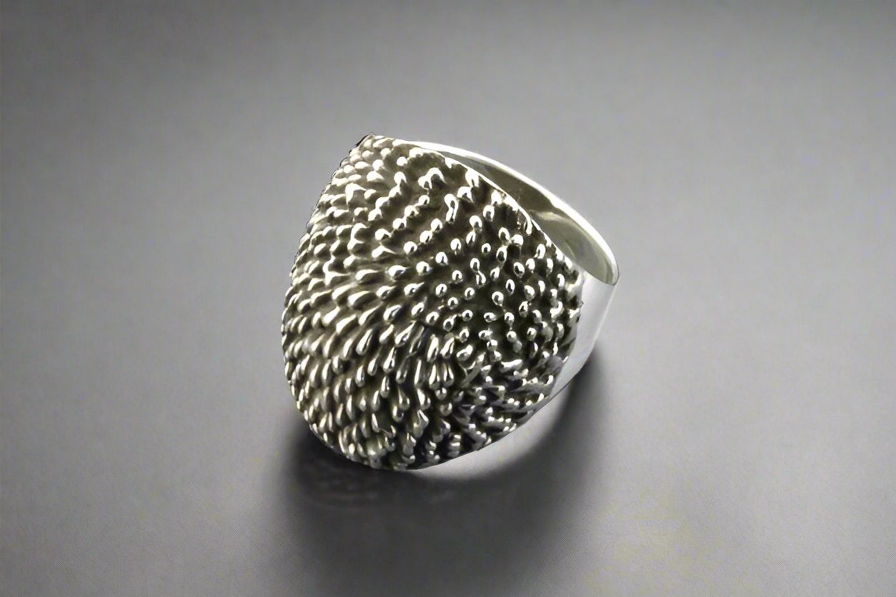 Sterling Silver Echidna Signet Ring for Men & Women - Unique Animal Jewelry Gift for Nature Lovers, Fashion Statement & Everyday Wear
