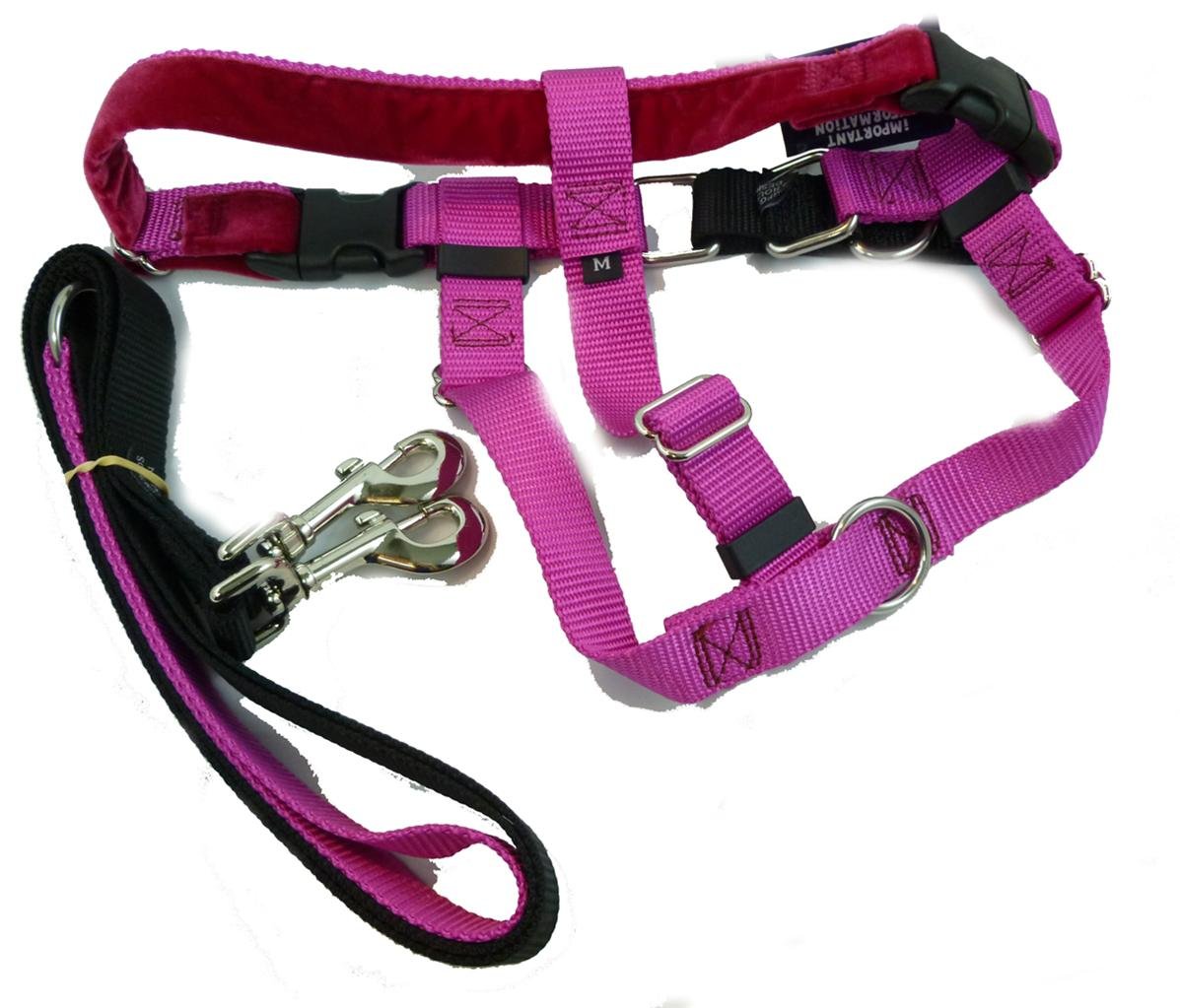 2 Hounds Freedom No Pull Dog Harness and Leash Training Kit - Raspberry Color, X-Large Size - Perfect for Walking, Running & Outdoor Adventures with Your Dog