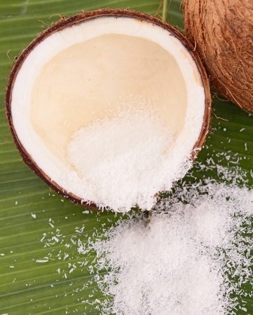 Organic Bulk Coconut Milk Powder - 100% Natural, Vegan, Non-GMO | Perfect for Smoothies, Baking, Coffee & Thai Cuisine