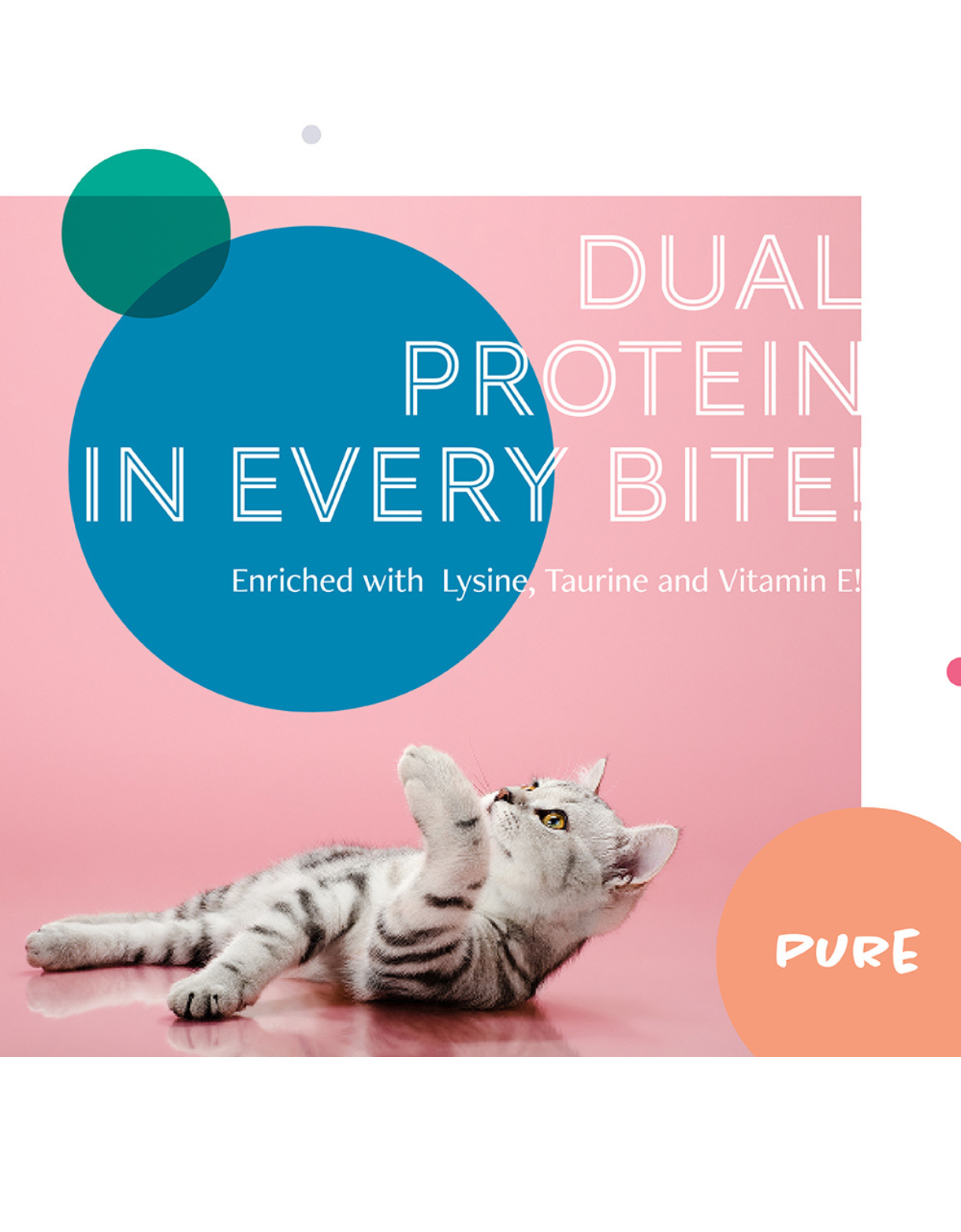 Premium Skipjack Tuna & Salmon with Chicken Canned Cat Food - Grain-Free, High Protein Wet Food for Adult Cats (80g) - Perfect for Mealtime, Travel & Emergency Kits