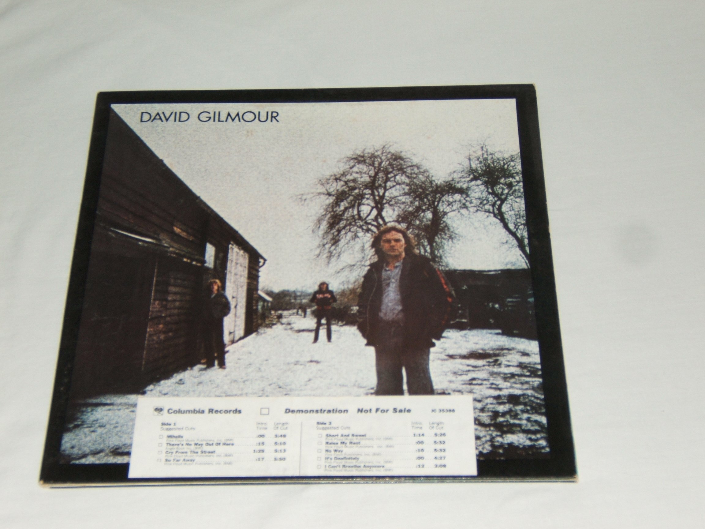 David Gilmour Official Merchandise & Collectibles - Shop Albums, Posters & More for True Pink Floyd Fans | Perfect for Home Decor, Music Lovers & Gift Giving