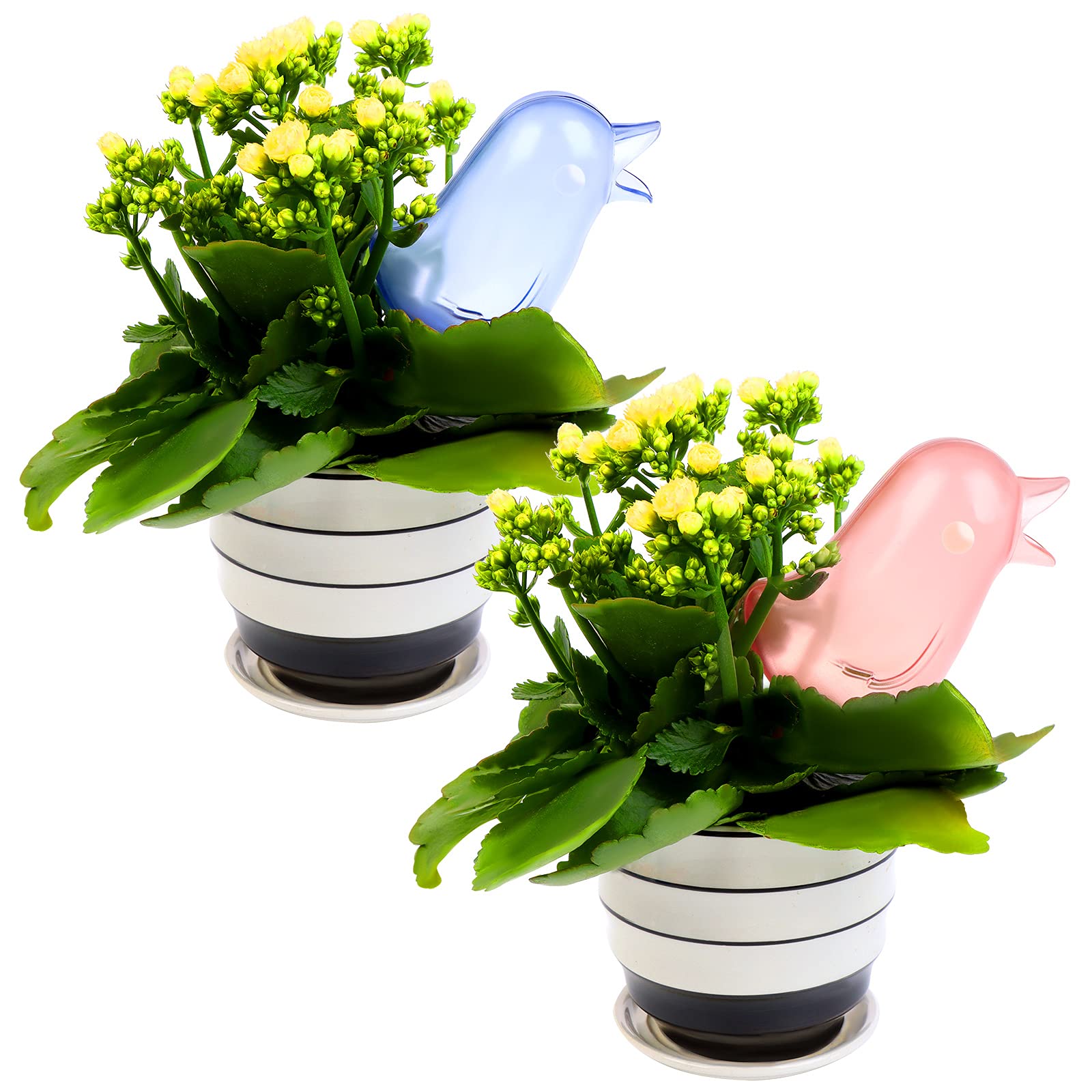 6 Pack Self Watering Spikes - Bird Shaped Automatic Plant Watering Globes for Potted Plants, Vacation Houseplant Care & Drip Irrigation System - Clear Watering Stakes for Indoor/Outdoor Use