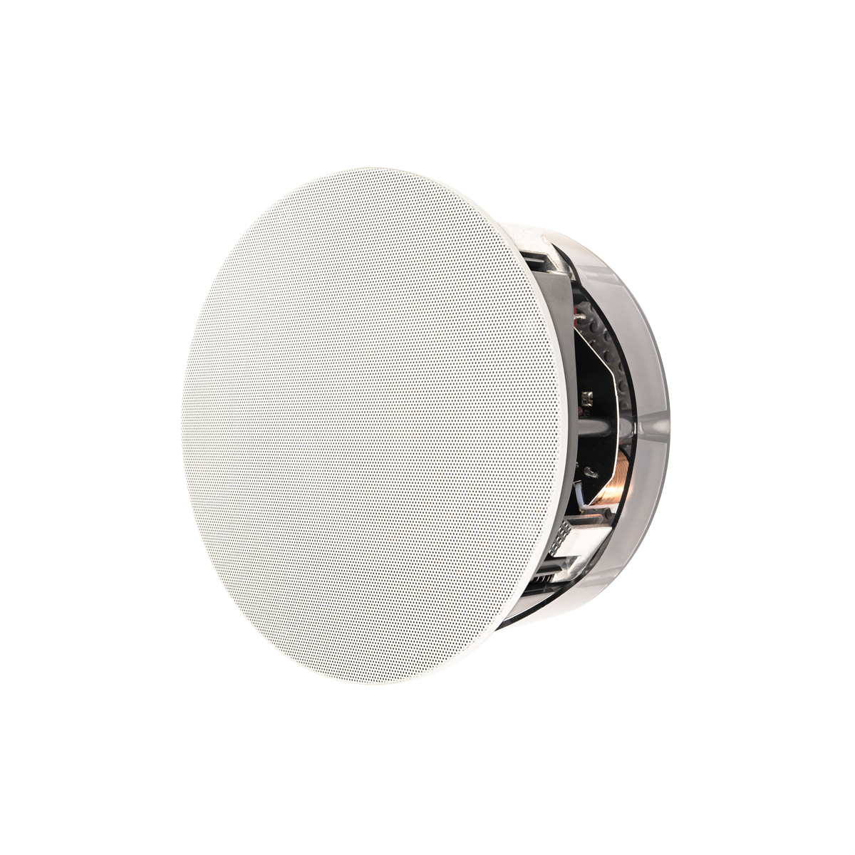 Paradigm CI Pro P65-R v2 6.5