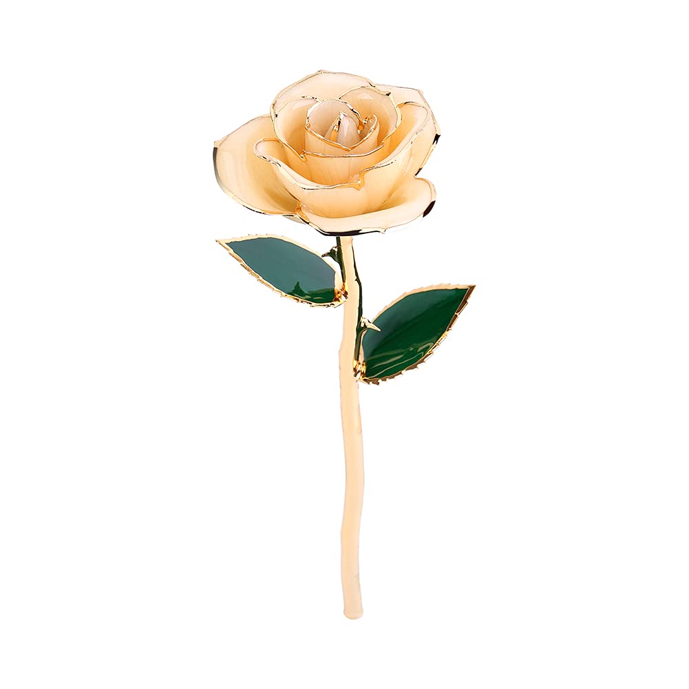 24k Gold Dipped Rose - Real Everlasting Rose with Long Stem & Exquisite Holder, Romantic Valentine's Day Gift for Her, Anniversary & Mother's Day Present - Perfect for Wedding Decor, Anniversary Surprise & Luxury Home Display