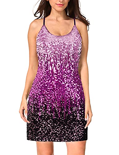 Periwinkle/Festival Fuchsia/Dark Purple