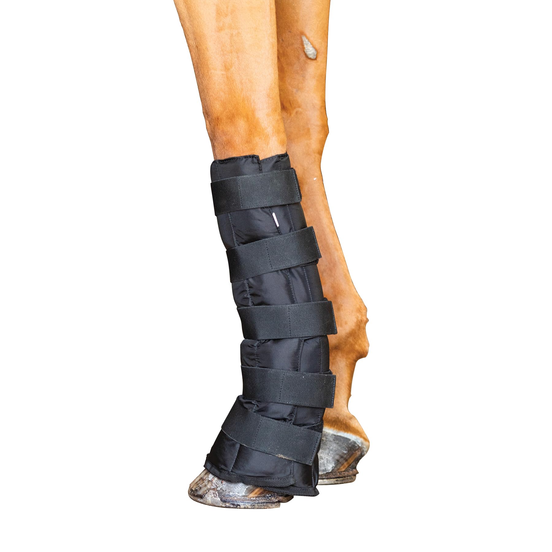 Evercool Full Size Black Horse Leg and Hoof Wrap - Cold Therapy Support for Swelling Relief & Inflammation Prevention - Ideal for Post-Workout Recovery, Injury Treatment, and Winter Protection