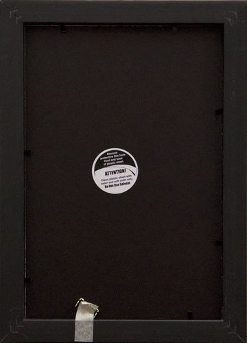 Frame USA Budget Saver Series 8x12 Polystyrene Poster Frames - Black - Lightweight & Durable Wall Decor for Home, Office, or Classroom Display