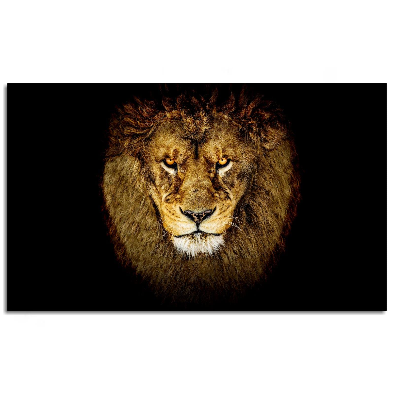 Lion Canvas Wall Art - 42
