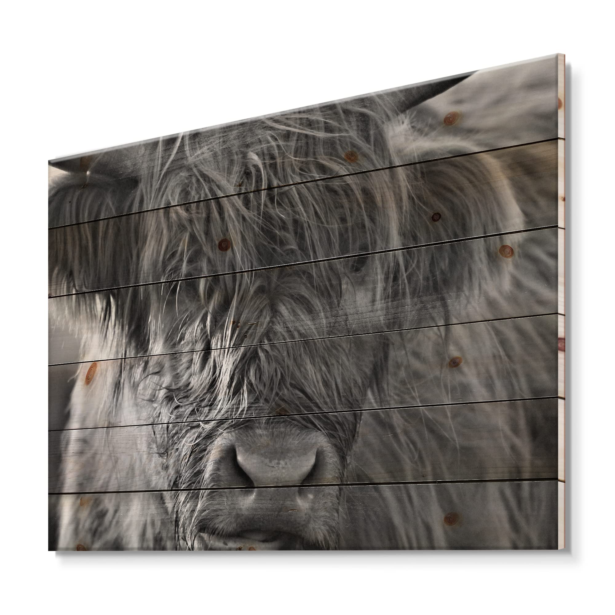 Scottish Highland Cows Living On Moorland Farmhouse Wood Wall Decor - Grey Wood Wall Art with Large Animals - Natural Pine Wood Wall Panels for Living Room, Bedroom & Farmhouse Decor