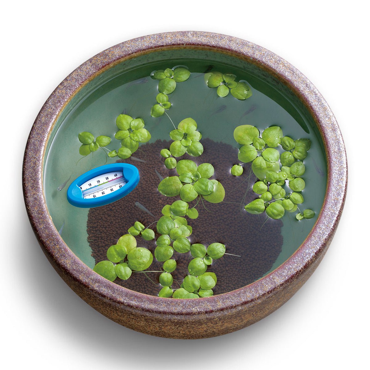 SUDO S1877 Floating Thermometer for Aquarium, Fish Tank, Hydroponics - Accurate Water Temperature Measurement for Home & Outdoor Use