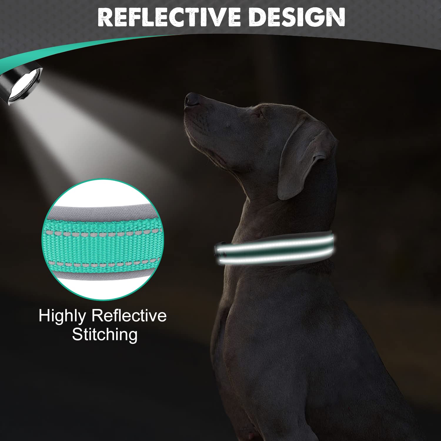**Joytale Heavy Duty Neoprene Padded Dog Collar for Large Dogs - Adjustable Reflective Pet Collar with Durable Metal Buckle - Perfect for Walking, Hiking & Outdoor Adventures (Teal, Large)**