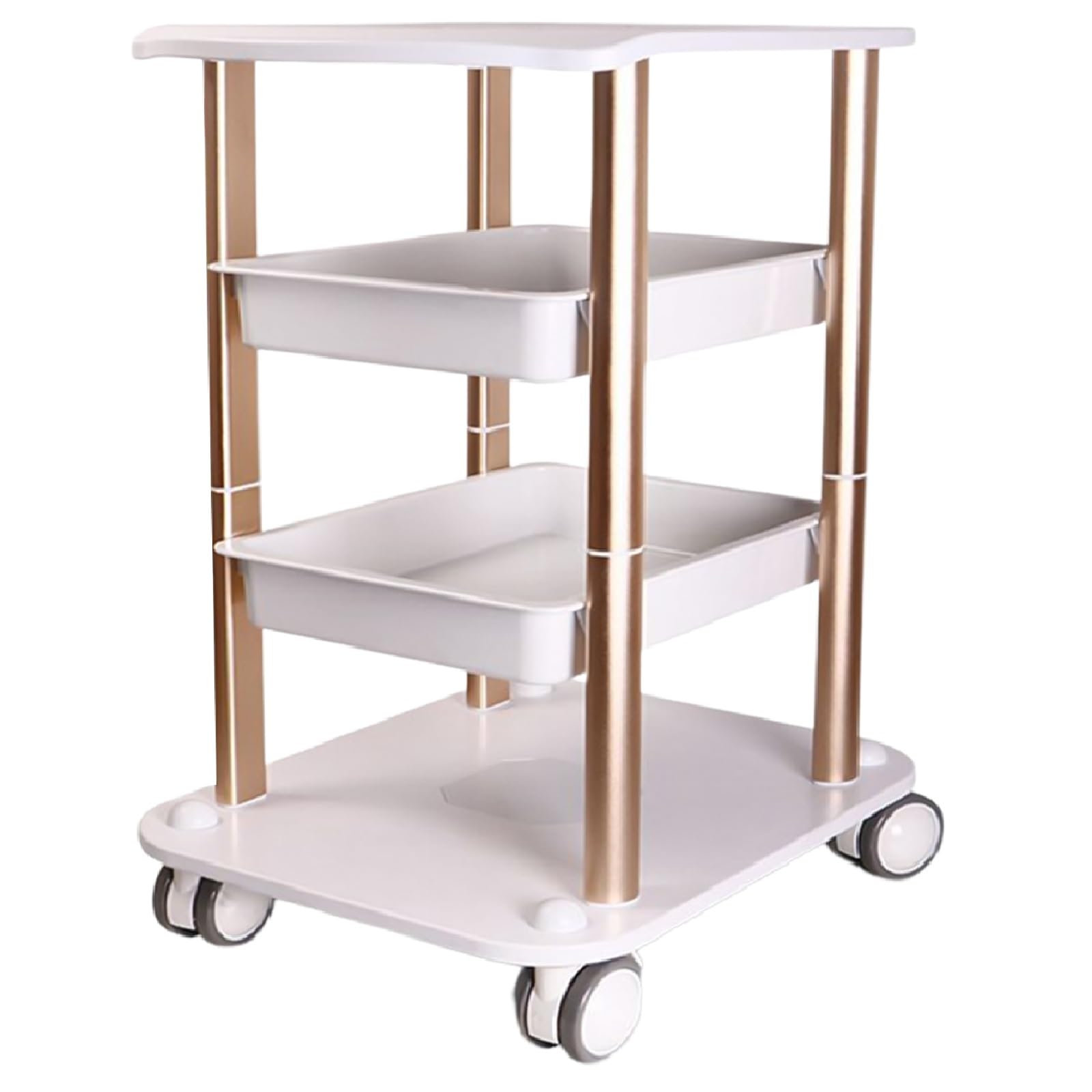 Premium Salon Beauty Cabinet Cart - 2-Tier Rolling Storage Trolley for Salon & Spa Equipment | Mobile Organizer Stand for Hair Styling Tools, Nail Supplies & Skin Care Products | Perfect for Professional Salons, Home Beauty Stations & Spa Treatments