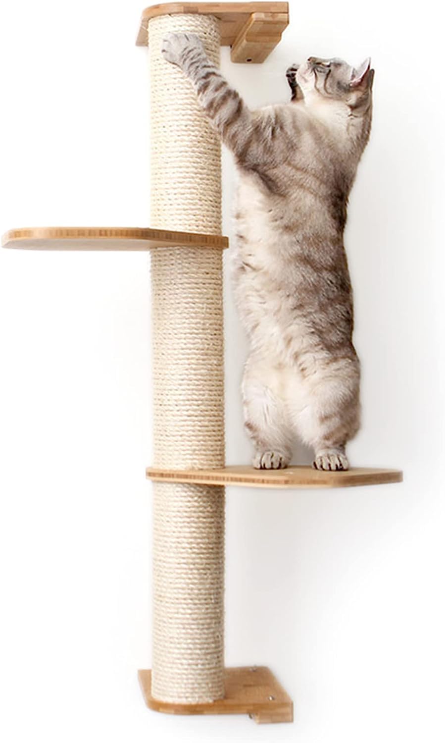 3-Tier Cat Scratching Post with Cat Shelves - Bamboo & Sisal Wall Scratcher for Indoor Cats - Durable Modern Cat Furniture for Climbing, Scratching & Lounging - Perfect for Small Spaces & Cat Play Areas