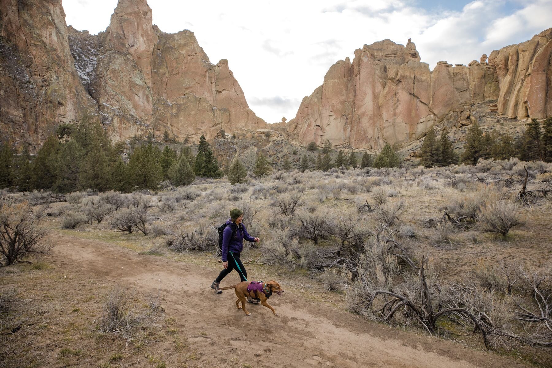 Ruffwear Web Master Harness® - Multi-Use Dog Harness with Handle in Blue Slate - Perfect for Hiking, Running & Outdoor Adventures