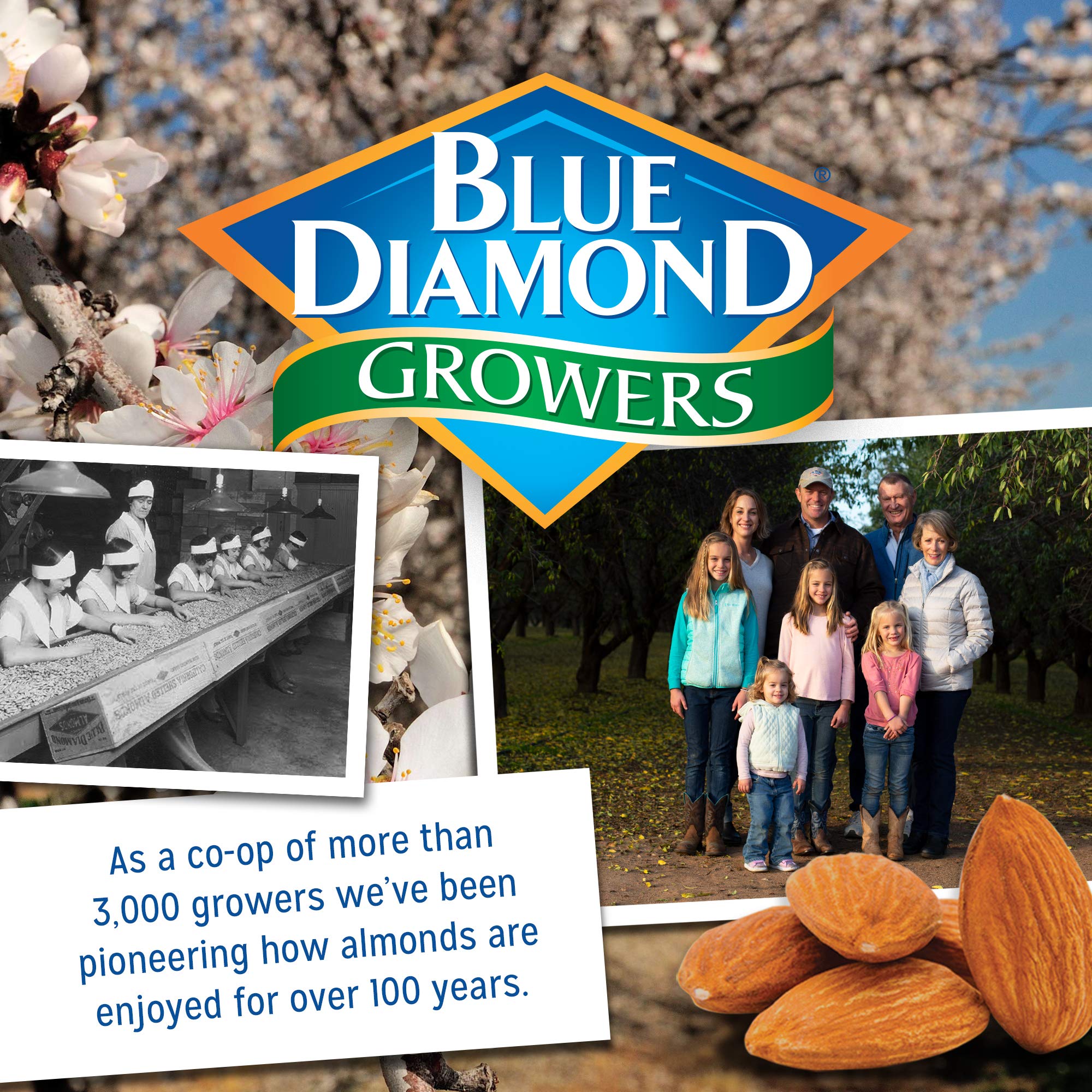 Blue Diamond Almonds Artisan Nut Thins Crackers - Sesame Seed Gluten-Free Snacks, 4.25oz (Pack of 12) | Healthy On-The-Go Snack for Office, Travel & Parties