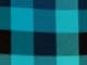 Teal Check