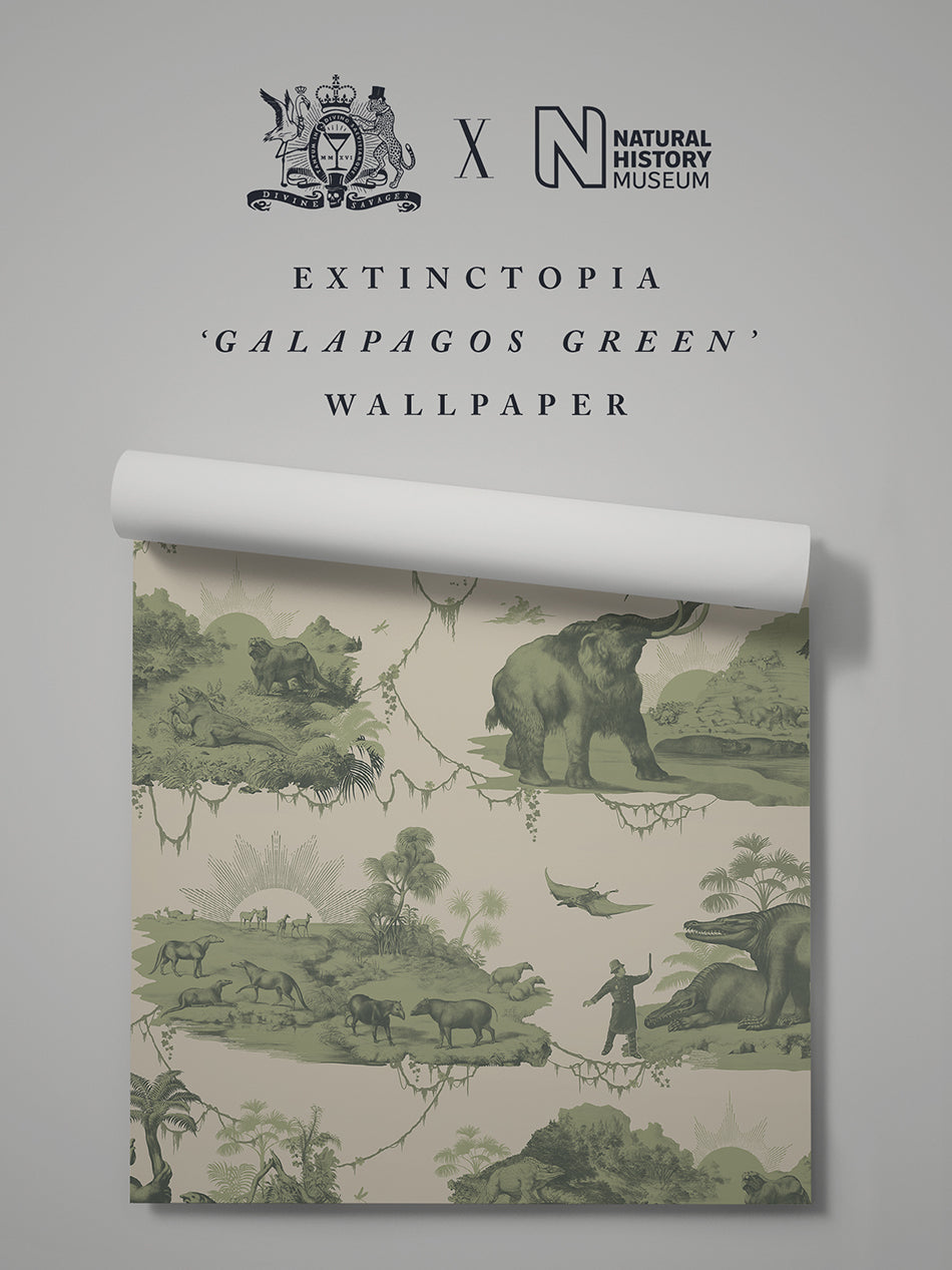 Extinctopia Premium Dinosaur Wallpaper - High-Quality Peel & Stick Removable Wallpaper for Kids Room, Nursery, Bedroom Decor - Easy to Install & Remove, Perfect for Home, Office & Classroom Decoration