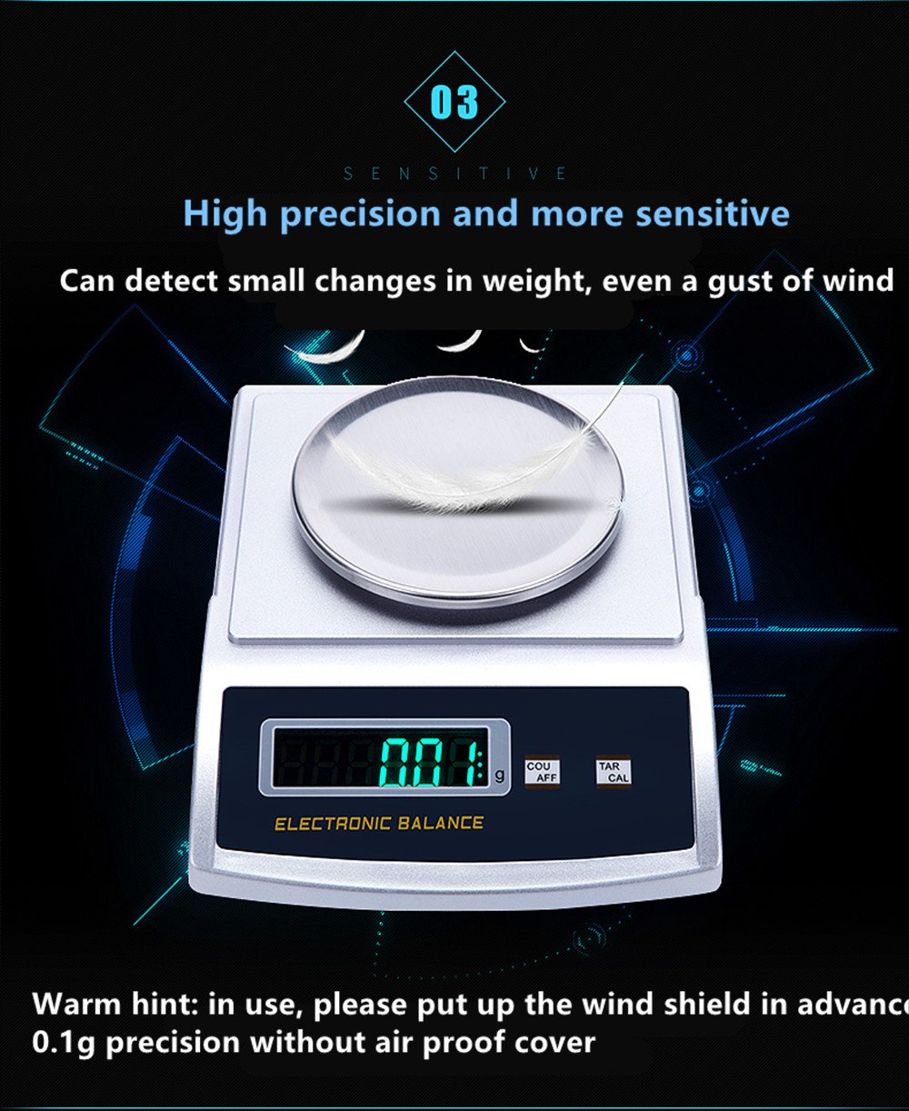 NEWTRY 200g x 0.01g High Precision Digital Analytical Lab Scale - Industrial Counting Scale for Jewelry, Gold, Powder & Small Parts (Portable Milligram Balance for Laboratories, Pharmacies & Science Labs)