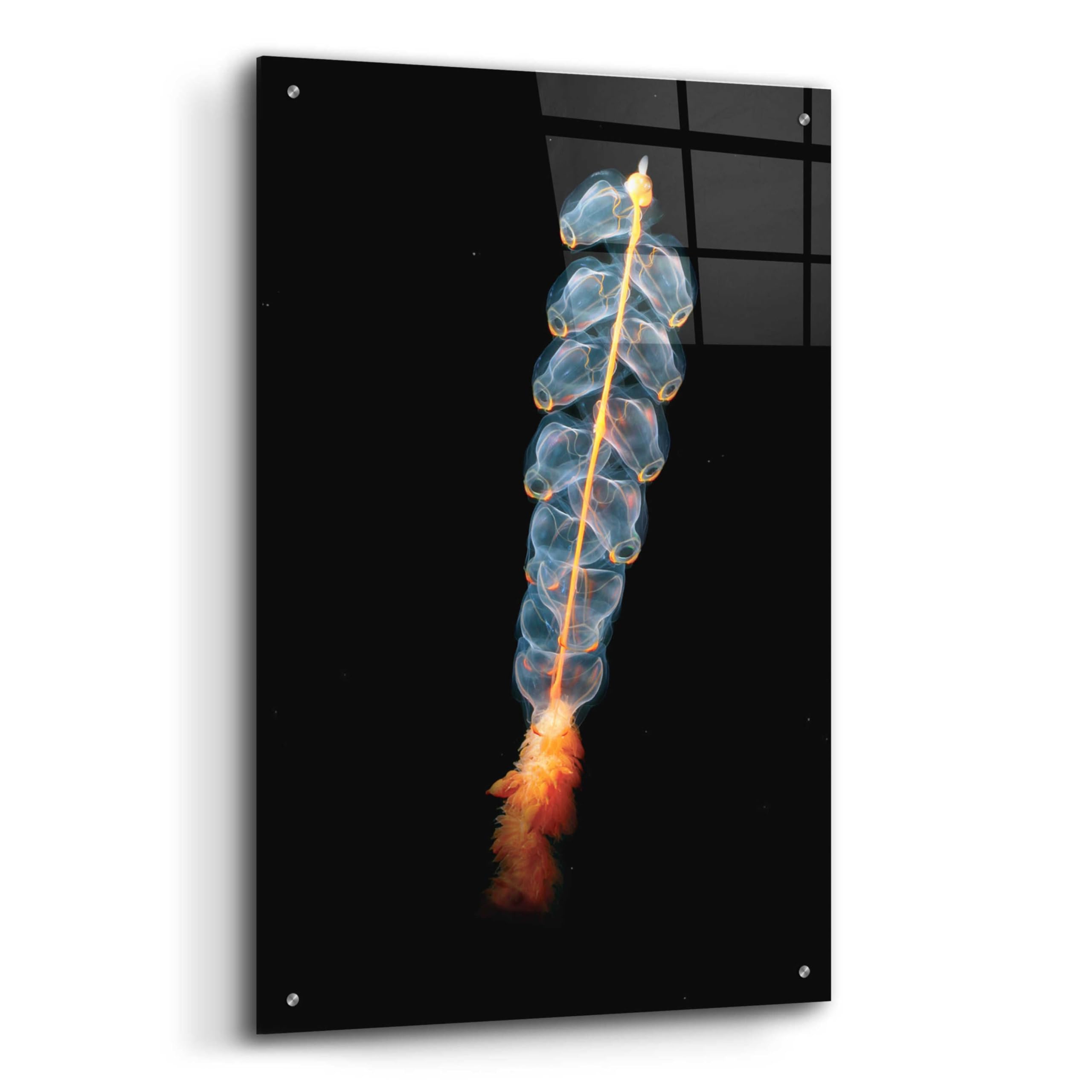 Epic Art 'Deep Sea Rocket' Acrylic Glass Wall Art - 24x36 Inches Modern Ocean Themed Painting for Living Room, Bedroom & Office Decor