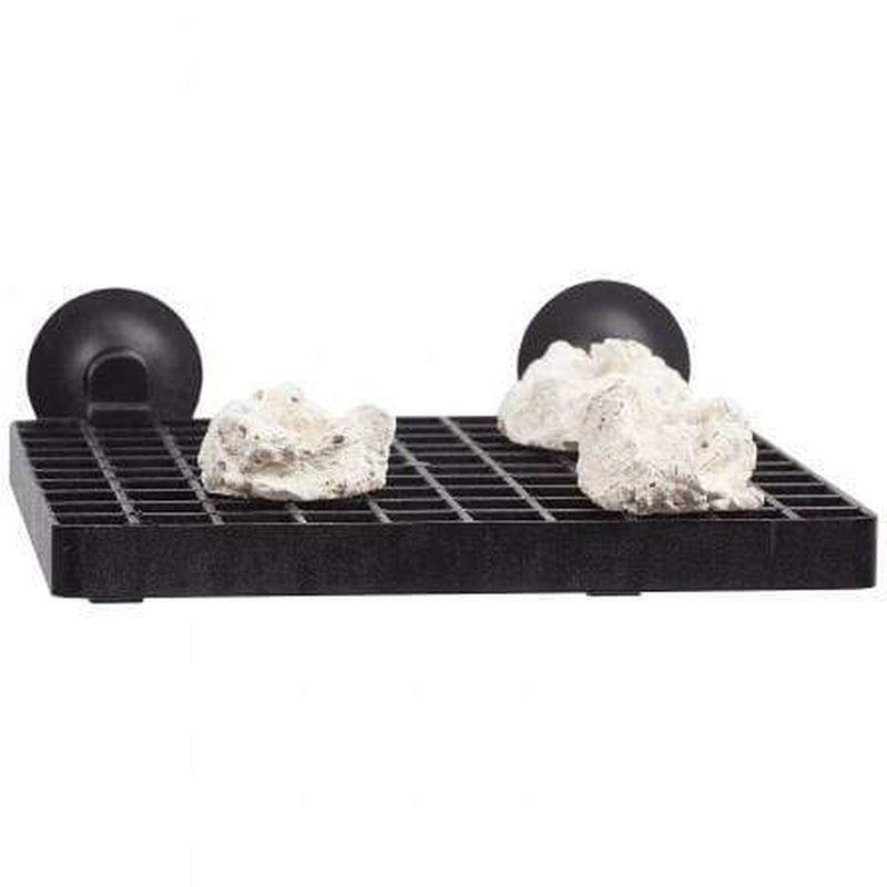 Aqua Medic Coral Frag Board with 10 Coral Pins - Reef Aquarium Fragmentation Tool for Saltwater Coral Propagation, Marine Tank Accessories for Coral Farmers & Hobbyists - Perfect for Coral Frag Racks, Propagation, and Aquascaping