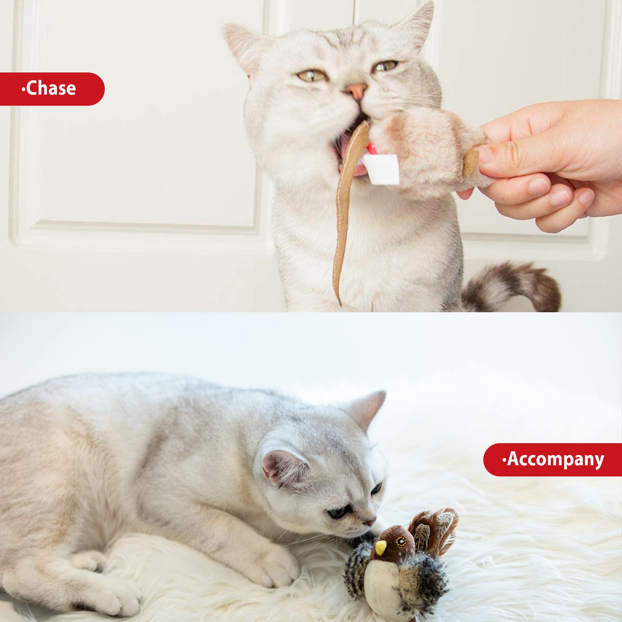 Gigwi Chirping Bird Cat Toy Set - Interactive Motion Activated Kitten Play Toy with Squeaky Sound & Feathers for Indoor Cats - Perfect for Chasing, Pouncing & Playtime for All Breeds