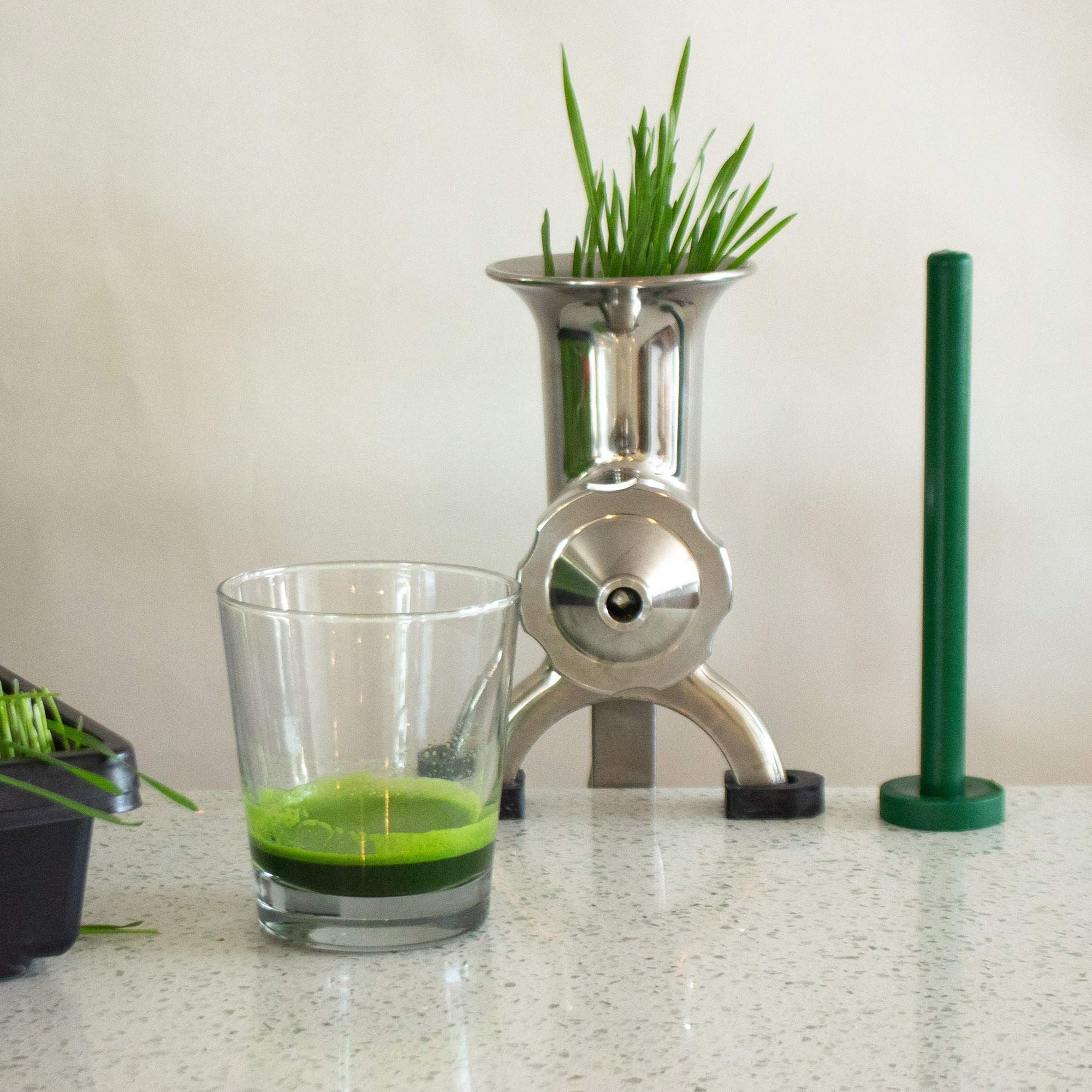 Stainless Steel Manual Wheatgrass Juicer - Handy Pantry HJ Hurricane for Fresh Wheatgrass Juice | Perfect for Home, Gym & Healthy Lifestyle