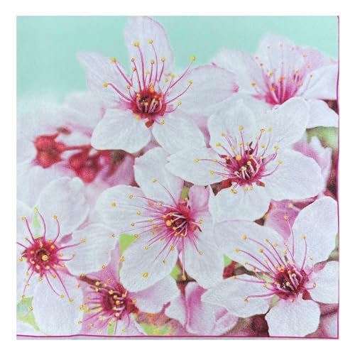 Cherry Blossom