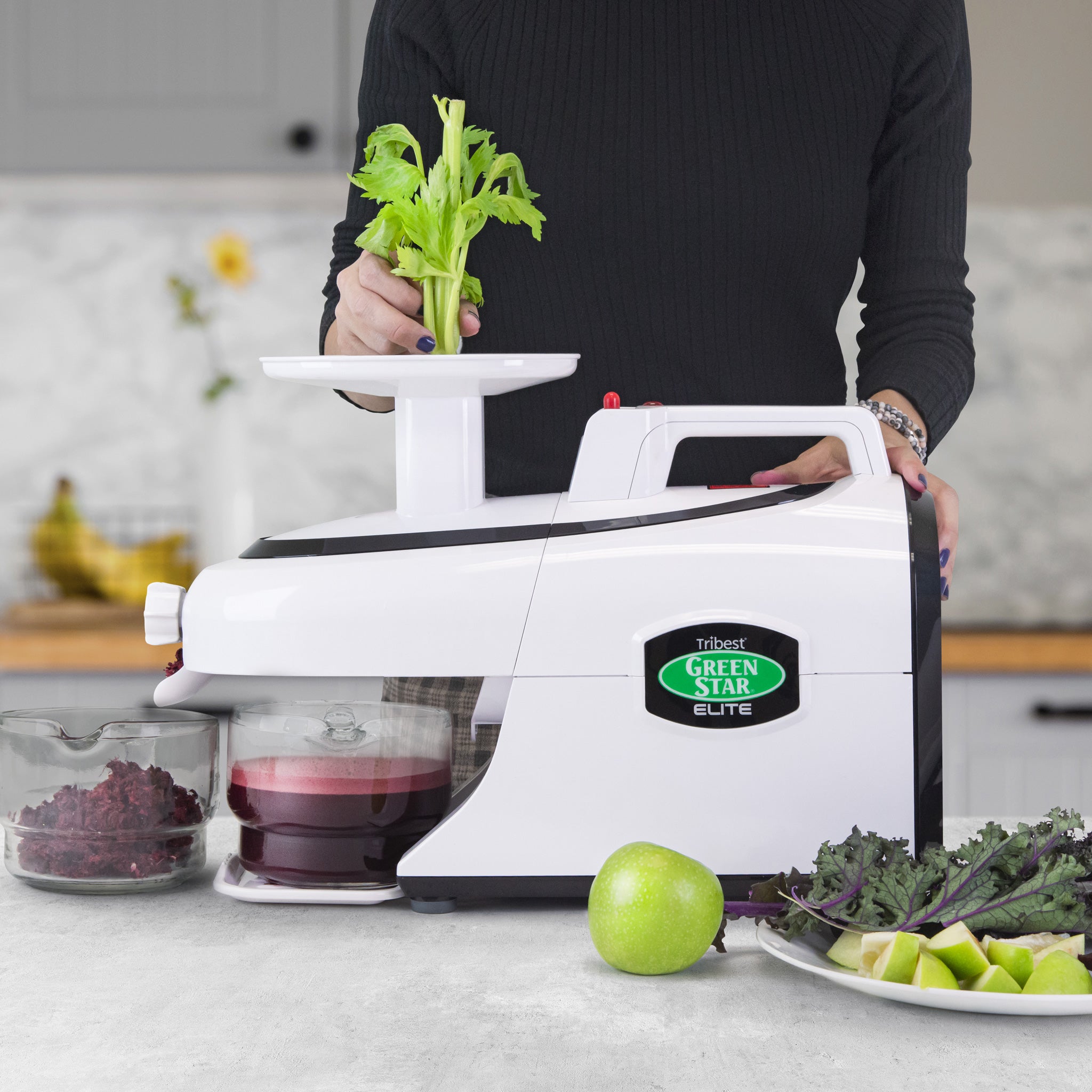Greenstar® Elite Certified Refurbished Jumbo Twin Gear Slow Masticating Juicer - Cold Press Juice Extractor for Fruits, Vegetables & Leafy Greens - Perfect for Healthy Juicing at Home, Gym or Office