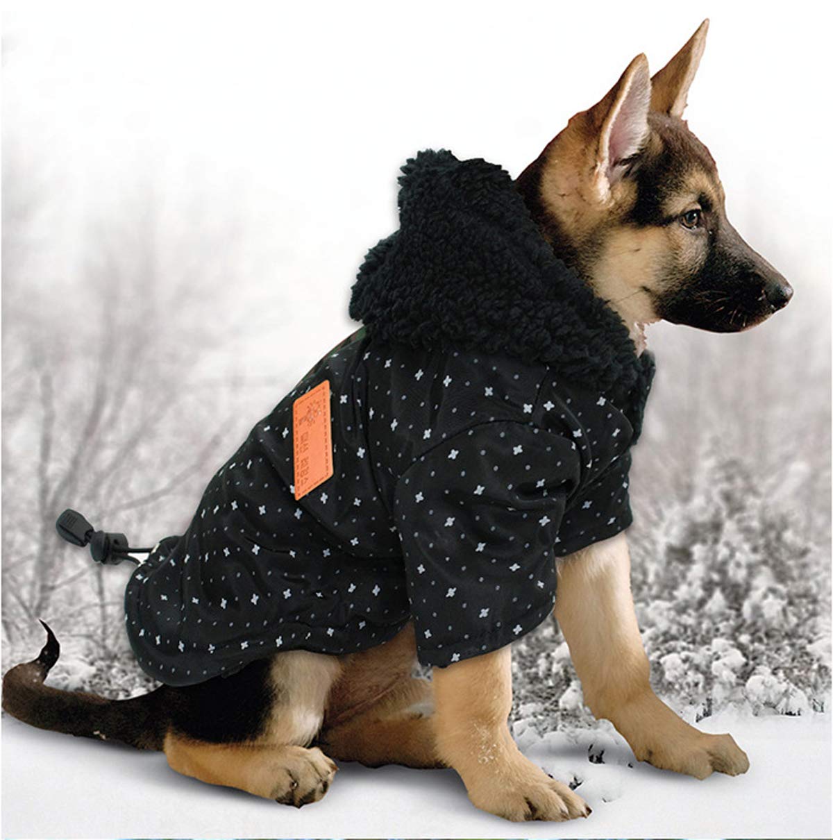 Tineer Pet Puppy Little Star Coat - Warm Winter Dog Sweater for Small Dogs & Cats (Size M, Black) - Perfect for Cold Weather Walks & Indoor Comfort