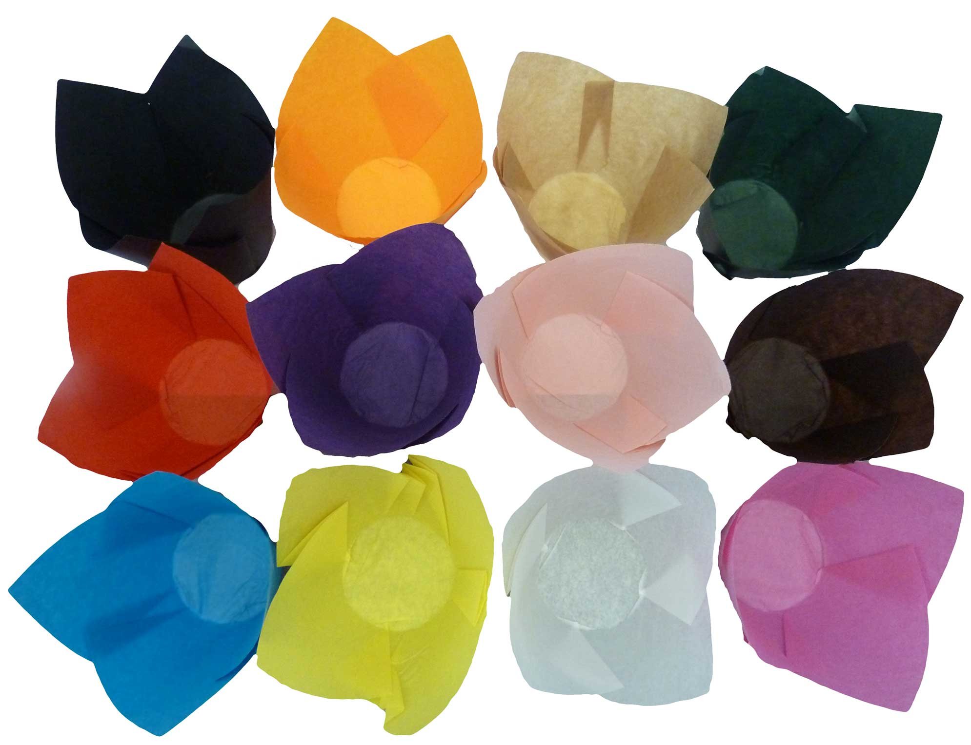 Colorful Tulip-Shaped Muffin Liners - 200 Pack, Wooden Gift Box (42x11x11cm) - Perfect for Baking, Party Decorations & DIY Crafts