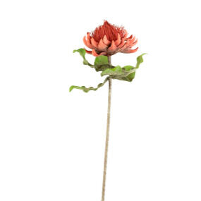 Botanical Crown Top Greenery - Artificial Floral Headpiece for Weddings, Boho Parties & Photo Shoots | Elegant Leaf Hair Accessory for Women