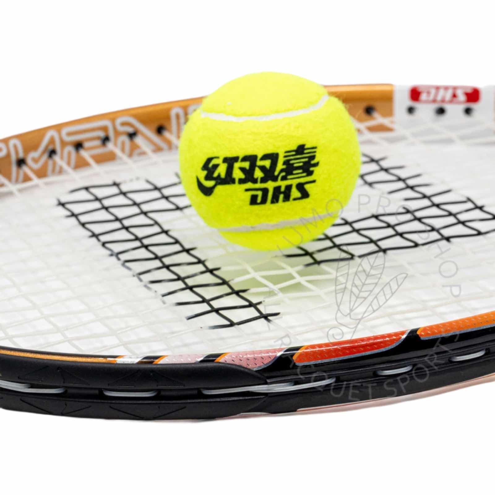 Premium DHS 282 Tennis Racket Set with Training Balls - Professional Tennis Equipment for Beginners & Advanced Players - Perfect for Court Practice, Backyard Training & Tennis Lessons