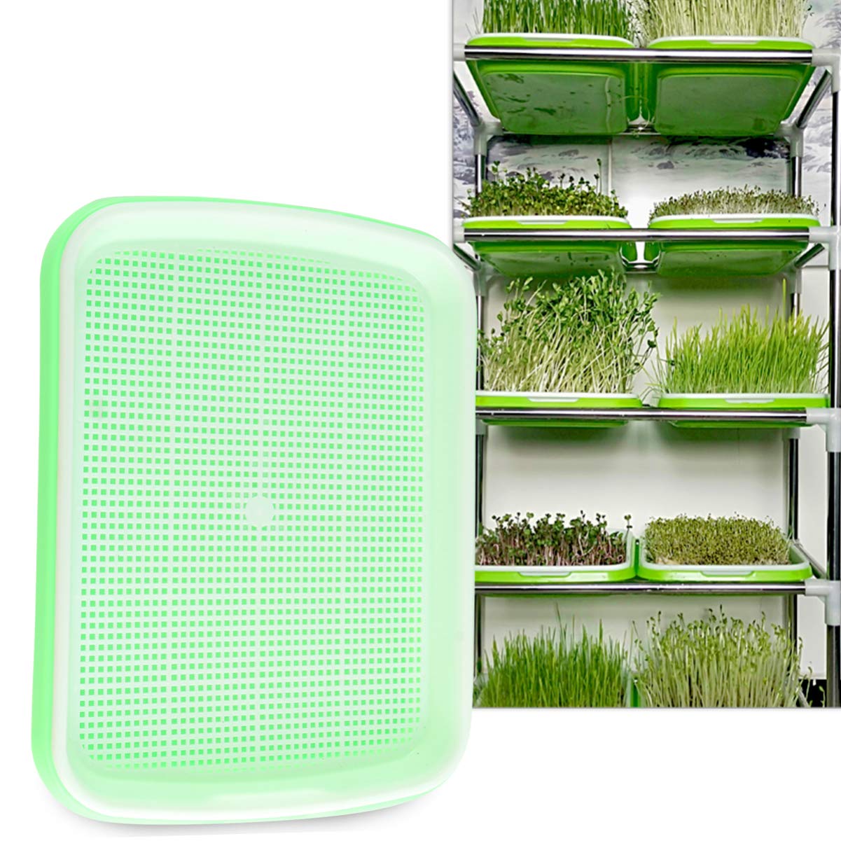 Premium Food Grade Seed Sprouter Tray Set - 1 PC Wheatgrass Grower Kit with Seed Tray, Water Tray & Paper Growing Trays for Indoor Gardening, Microgreens, Sprouts & Healthy Home Farming