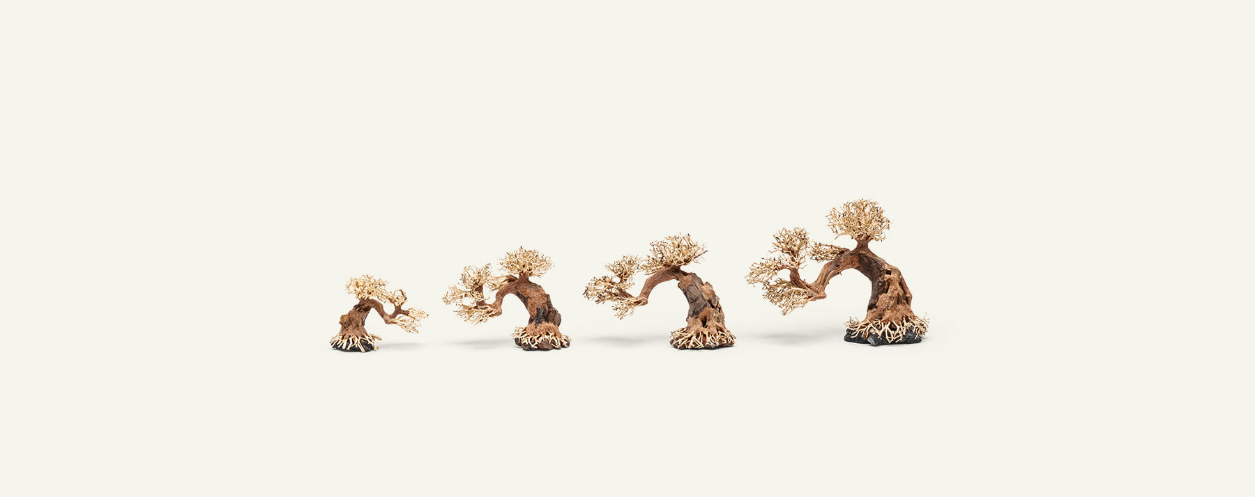 UNS Bonsai 006 - Premium Mini Bonsai Tree Kit for Home & Office Decor | Perfect for Zen Gardens, Desktop Decor, and Relaxation Gifts